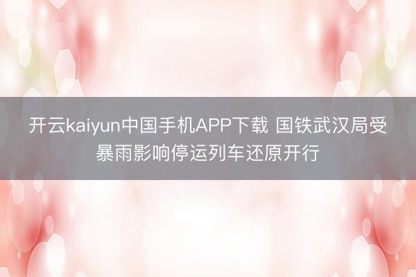 开云kaiyun中国手机APP下载 国铁武汉局受暴雨影响停运列车还原开行