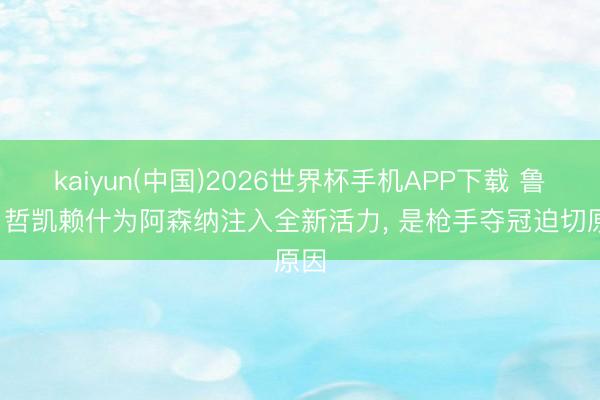 kaiyun(中国)2026世界杯手机APP下载 鲁尼: 哲凯赖什为阿森纳注入全新活力， 是枪手夺冠迫切原因