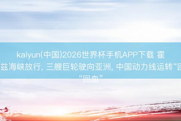 kaiyun(中国)2026世界杯手机APP下载 霍尔木兹海峡放行， 三艘巨轮驶向亚洲， 中国动力线运转“回血”