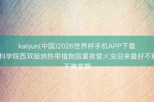 kaiyun(中国)2026世界杯手机APP下载 中国科学院西双版纳热带植物园夏夜萤火虫迎来最好不雅赏期