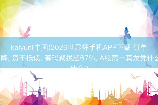 kaiyun(中国)2026世界杯手机APP下载 订单下降, 资不抵债, 筹码聚拢超67%, A股第一真龙凭什么?