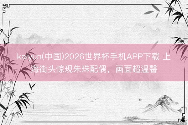 kaiyun(中国)2026世界杯手机APP下载 上海街头惊现朱珠配偶,画面超温馨