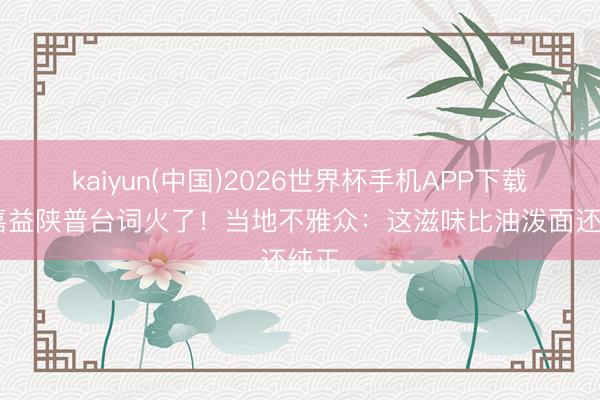 kaiyun(中国)2026世界杯手机APP下载 张嘉益陕普台词火了！当地不雅众：这滋味比油泼面还纯正