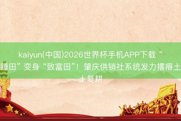 kaiyun(中国)2026世界杯手机APP下载 “千里睡田” 变身 “致富田”！肇庆供销社系统发力撂瘠土复耕
